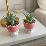 דירה Evans Realty Bf Parking & Piscina & Terraza *